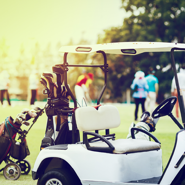 Batteries for Golf Carts and Caddies