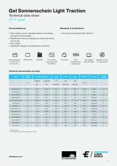 E/Sonnenschein GF-Y datasheet