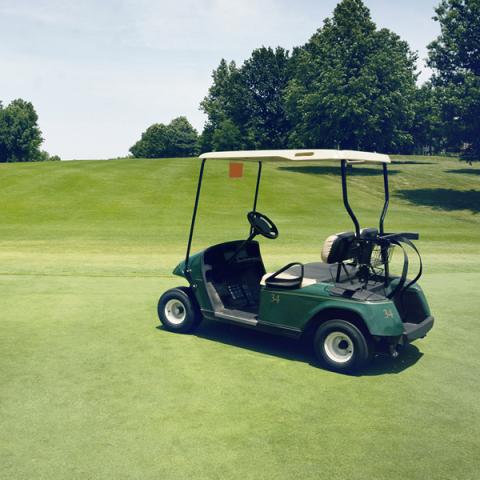 Golf cart batteries