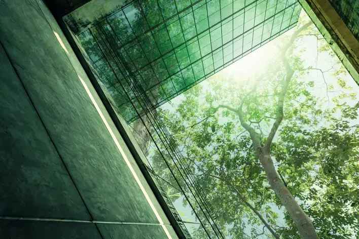 Looking up through a glass-roofed atrium at sunlit green trees.