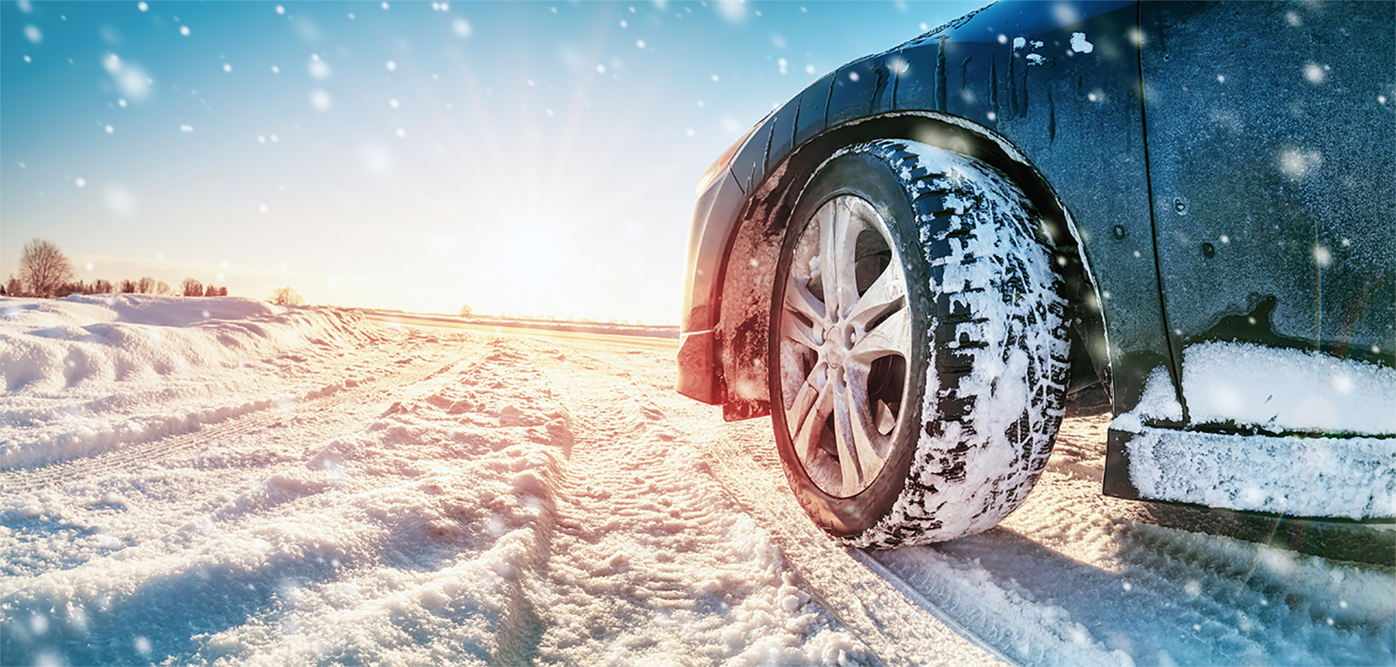 WInter Car